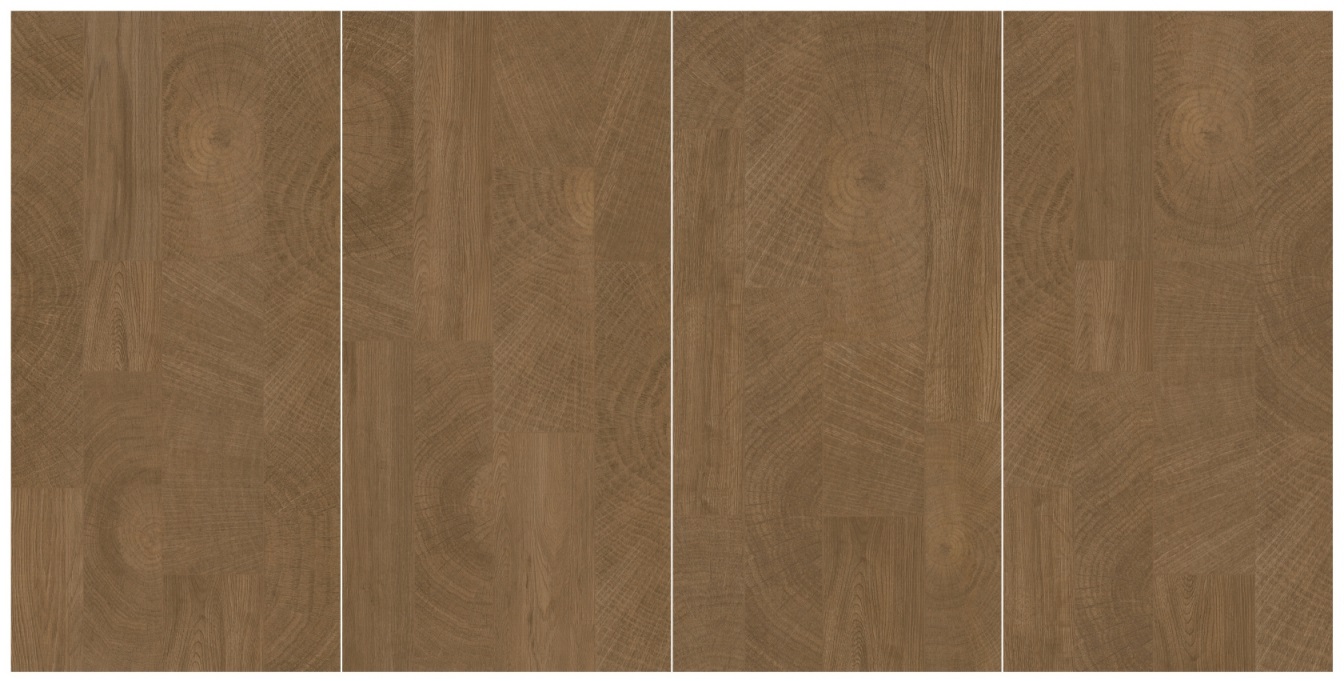 DM6N02A 時光年輪 深色